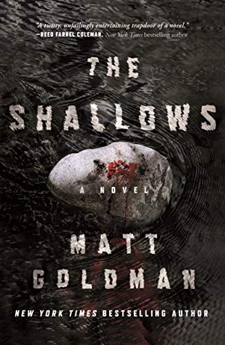 Shallows: A Nils Shapiro Novel
