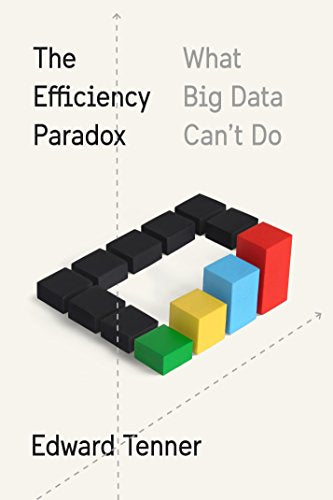 Efficiency Paradox: What Big Data Can't Do